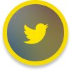Twitter/X